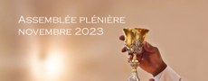 Méditation "Des gémissements à l’exultation" lors de l'Assemblée Plénière des évêques de France - novembre 2023